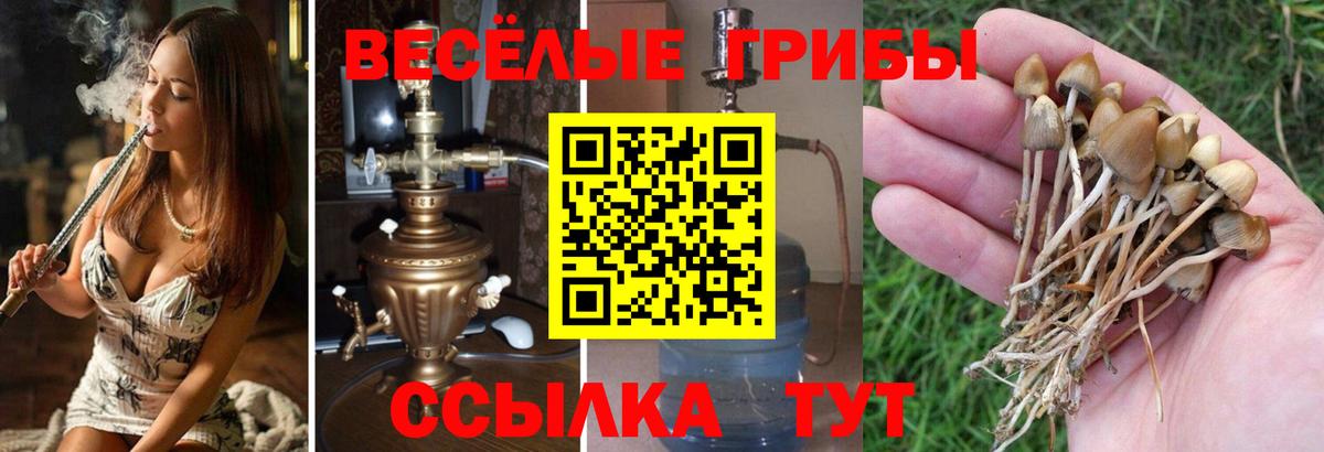 Бутурлиновка  Галлюциногенные грибы Magic Shrooms  где найти   Вход с VPN 